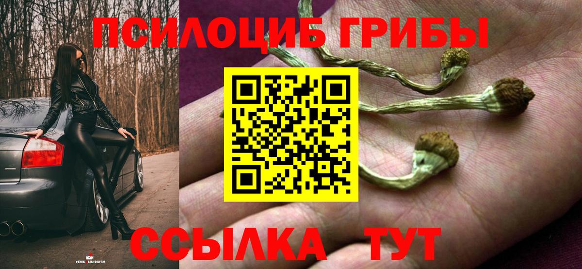 Псилоцибиновые грибы прущие грибы Пушкино