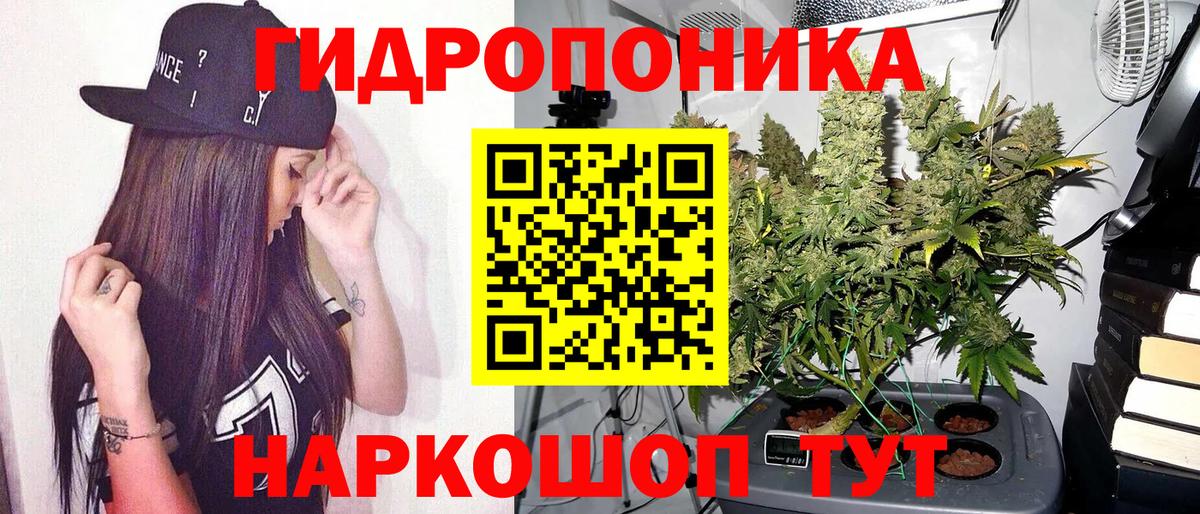 Каннабис конопля  Вход с VPN  Пушкино  Марихуана AK-47  МАРИХУАНА SATIVA & INDICA 